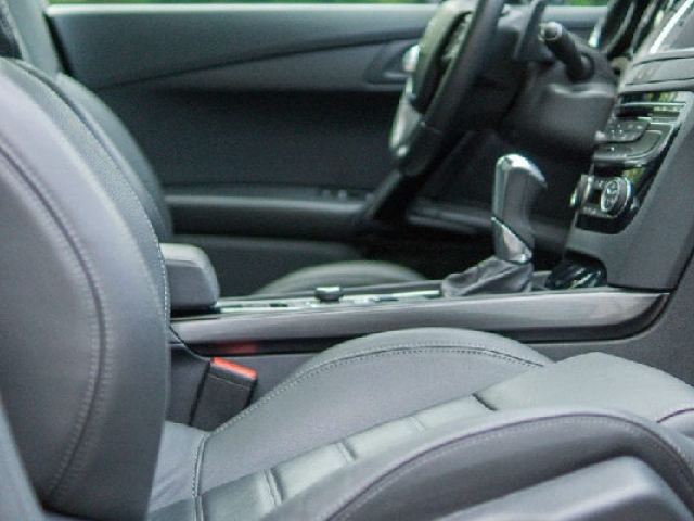 Cómo eliminar las hormigas de tu auto