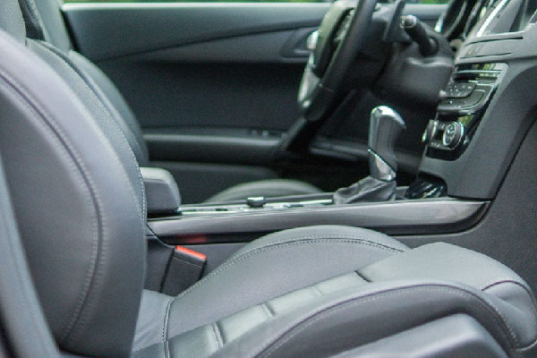 Cómo eliminar las hormigas de tu auto
